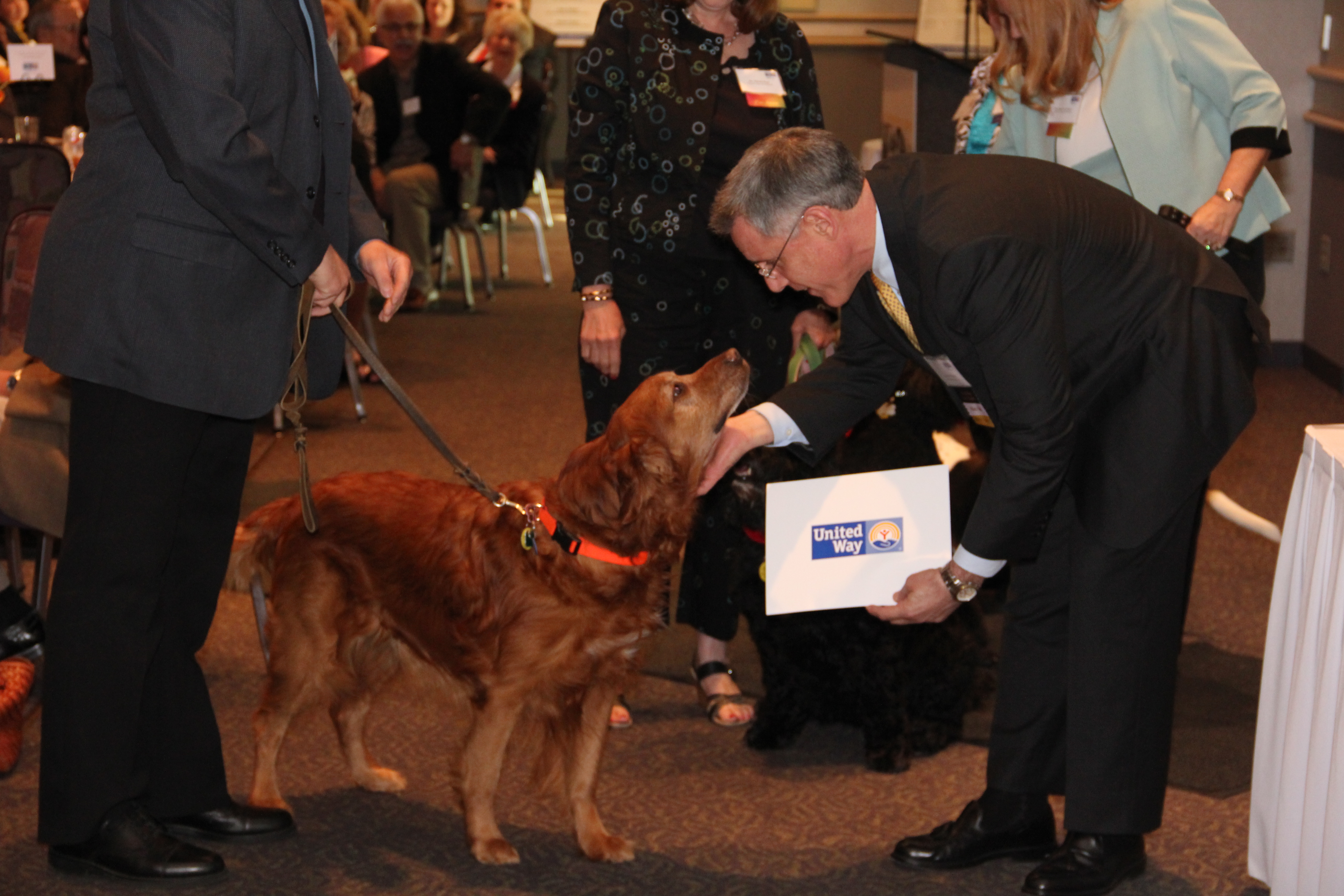 United Way staff handing certificate award to a golden retriever